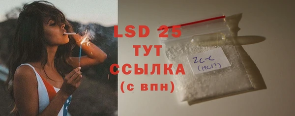 ГАЛЛЮЦИНОГЕННЫЕ ГРИБЫ Иннополис